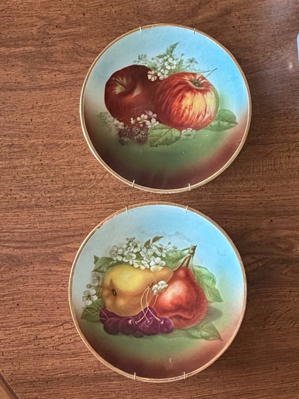 Set of 2 Hand Painted Vintage Bavarian Ceramic Fruit Plates with Gold Rim 9.5"